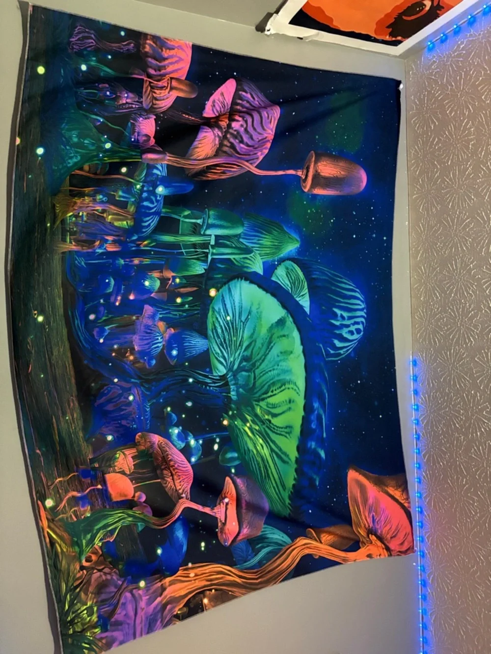 Neon Mushroom Wall Tapestry - Black Multicolor